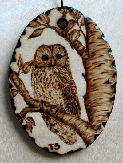 strix aluco tawny owl tanja sova pyrogaphy